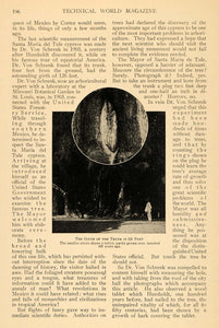 1913 Article Old Tree Santa Maria Tyle Cypress Mexico - ORIGINAL TW2