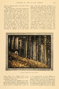1908 Print Black Forest Sulzburg Baden Germany Scenery - ORIGINAL TW2