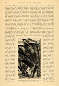 1908 Article Palm Coconuts Ivory Button Making Factory - ORIGINAL TW2