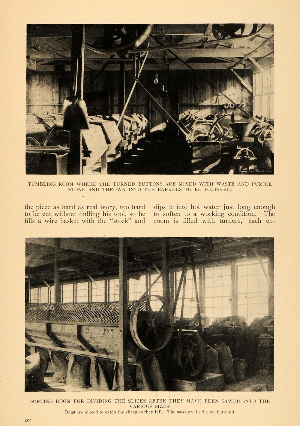 1908 Article Palm Coconuts Ivory Button Making Factory - ORIGINAL TW2