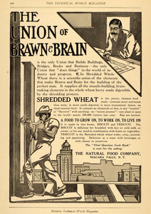 1906 Ad Natural Food Shredded Wheat Brain Construction - ORIGINAL TW3