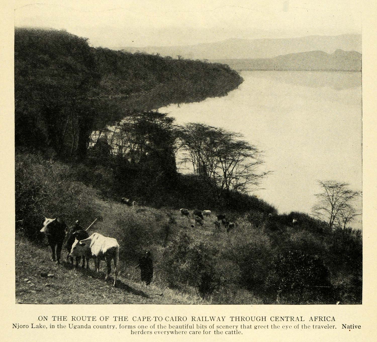 1914 Print Njoro Lake Uganda Africa Cape Cairo Railway ORIGINAL HISTORIC TW3