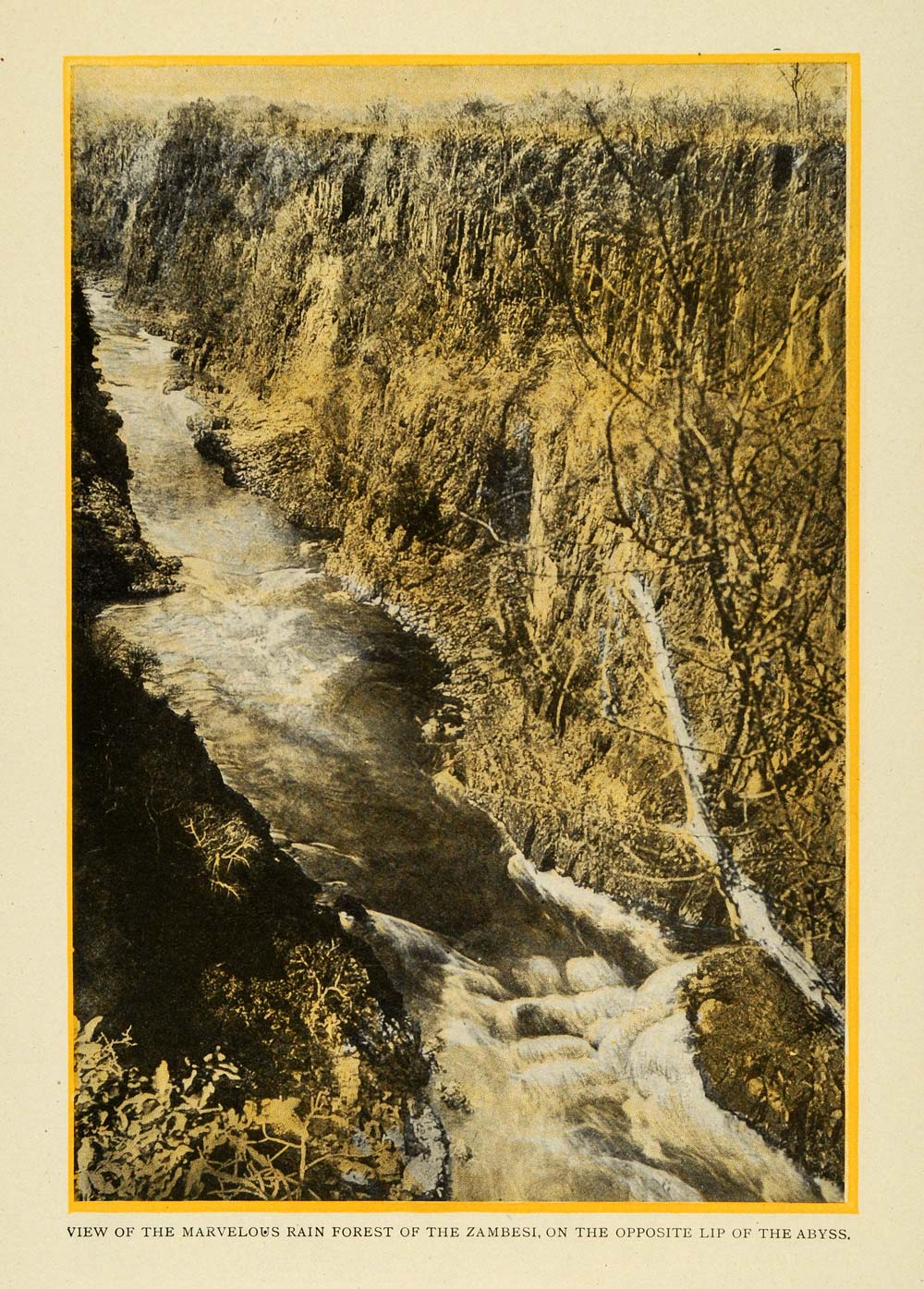 1907 Print Zambesi River Through Rain Forest Africa - ORIGINAL TW3