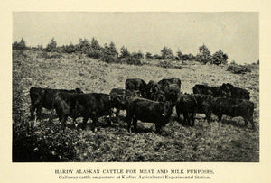 1910 Print Kodiak Agricultural Experiment Station AFES ORIGINAL HISTORIC TW3
