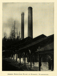 1909 Print Arsenic Reduction Plant Chimneys Washington ORIGINAL HISTORIC TW3