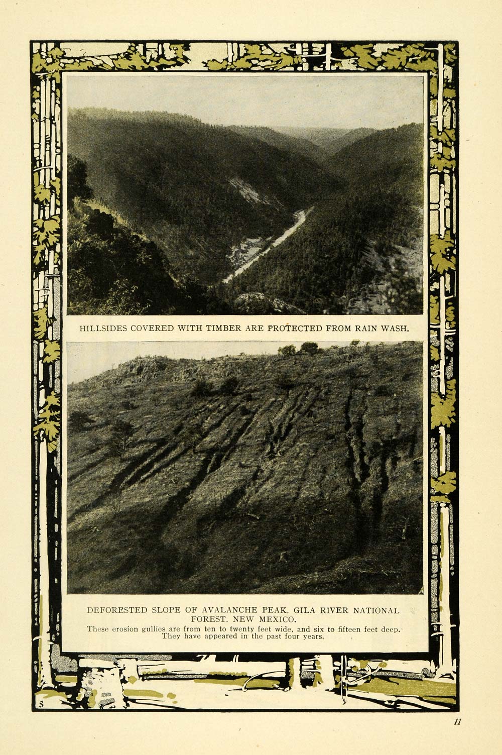1909 Print Gila River Forest New Mexico Avalanche Peak - ORIGINAL TW3
