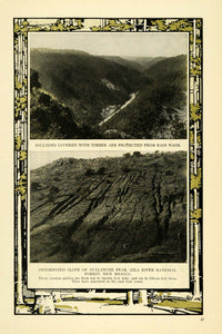 1909 Print Gila River Forest New Mexico Avalanche Peak - ORIGINAL TW3
