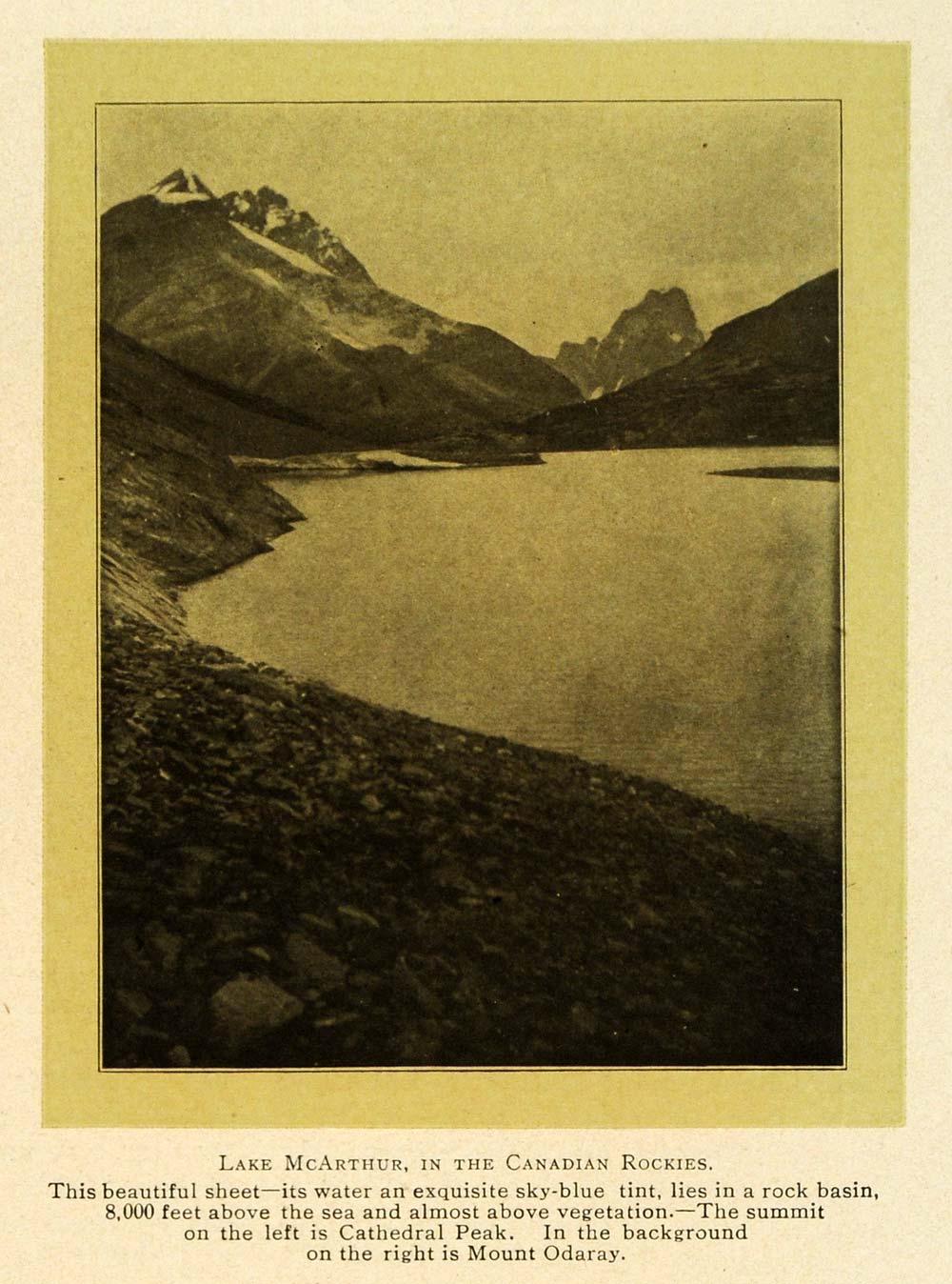 1905 Print Lake McArthur Canadian Rockies Mount Odaray ORIGINAL HISTORIC TW3