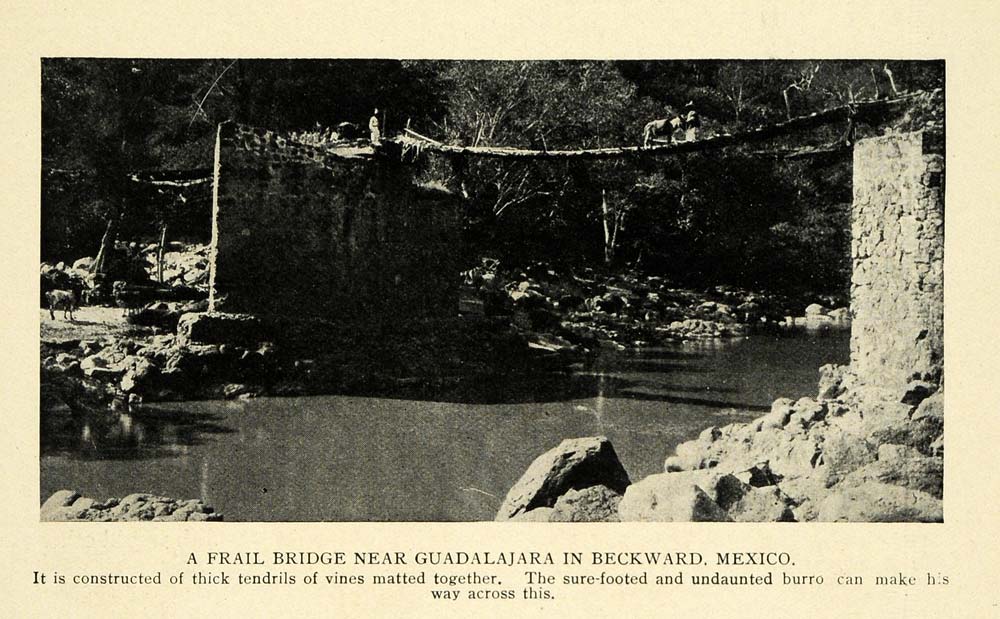 1911 Print Mexico Frail Vine Tendril Bridge Guadalajara ORIGINAL HISTORIC TW4