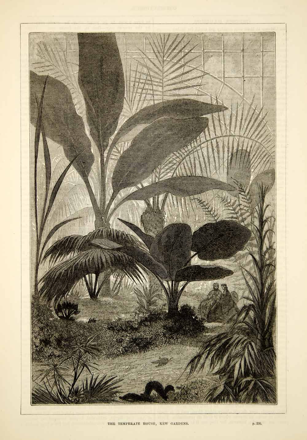 1876 Wood Engraving Temperate House Kew Gardens Plants Victorian Glasshouse TWW1