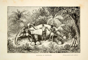 1910 Wood Engraving Elephant Hunting Skinning India William Temple Hornaday TYJ1