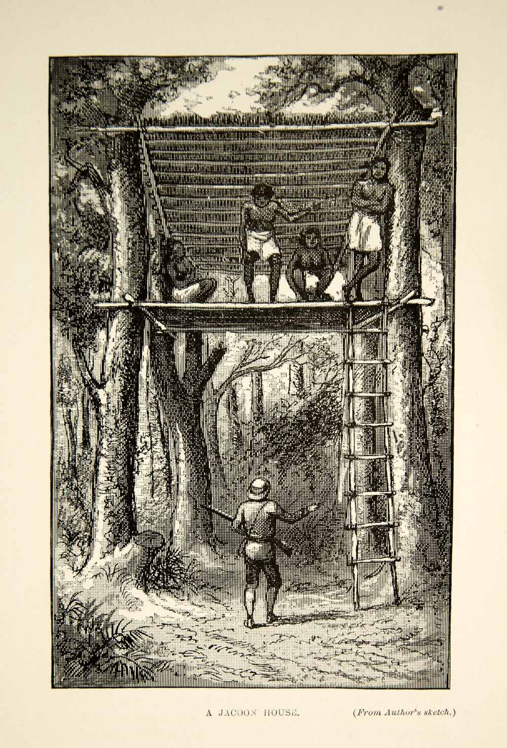1910 Wood Engraving Jakun House Forest Malay Peninsula Indigenous People TYJ1