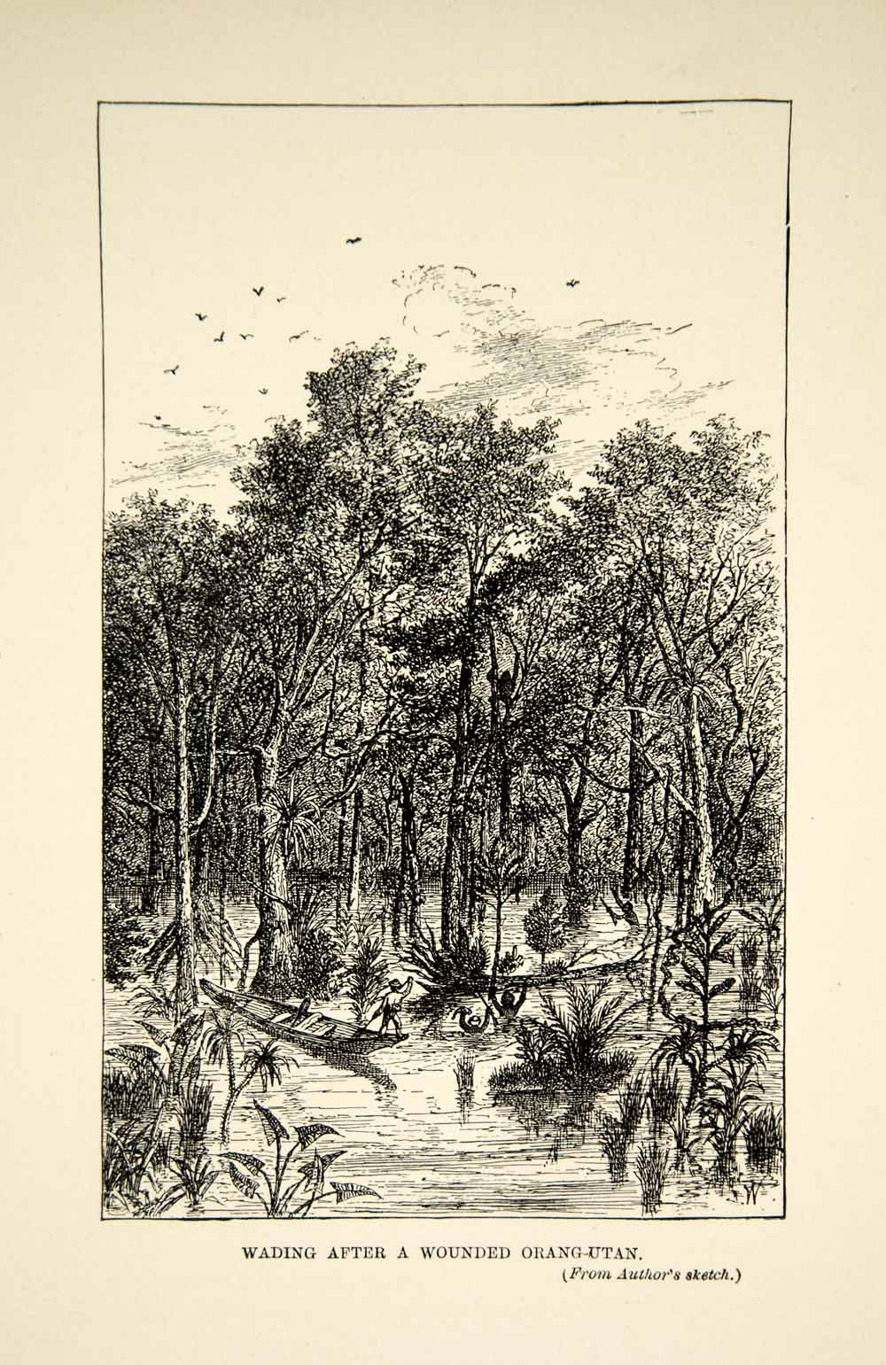 1910 Wood Engraving Orangutan Hunting Boats Borneo William Temple Hornaday TYJ1