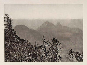 1927 North Rim Grand Canyon Arizona Photogravure NICE - ORIGINAL US1