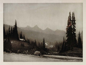 1927 Mount Rainier National Park Trees Photogravure - ORIGINAL PHOTOGRAVURE US1
