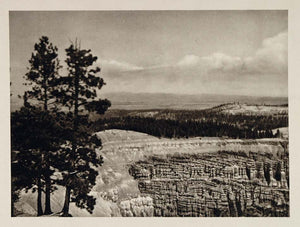 1927 Cedar Breaks National Monument Canyon Utah NICE - ORIGINAL PHOTOGRAVURE US1