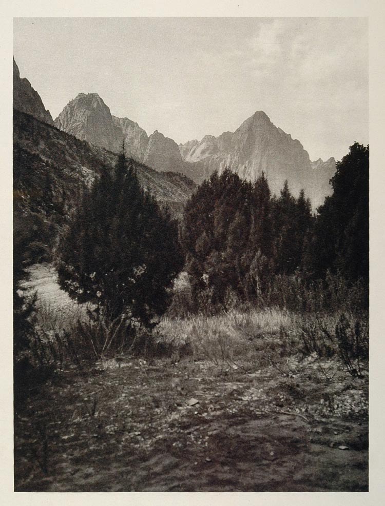 1927 Landscape Trees Mountain Zion National Park Utah - ORIGINAL US2