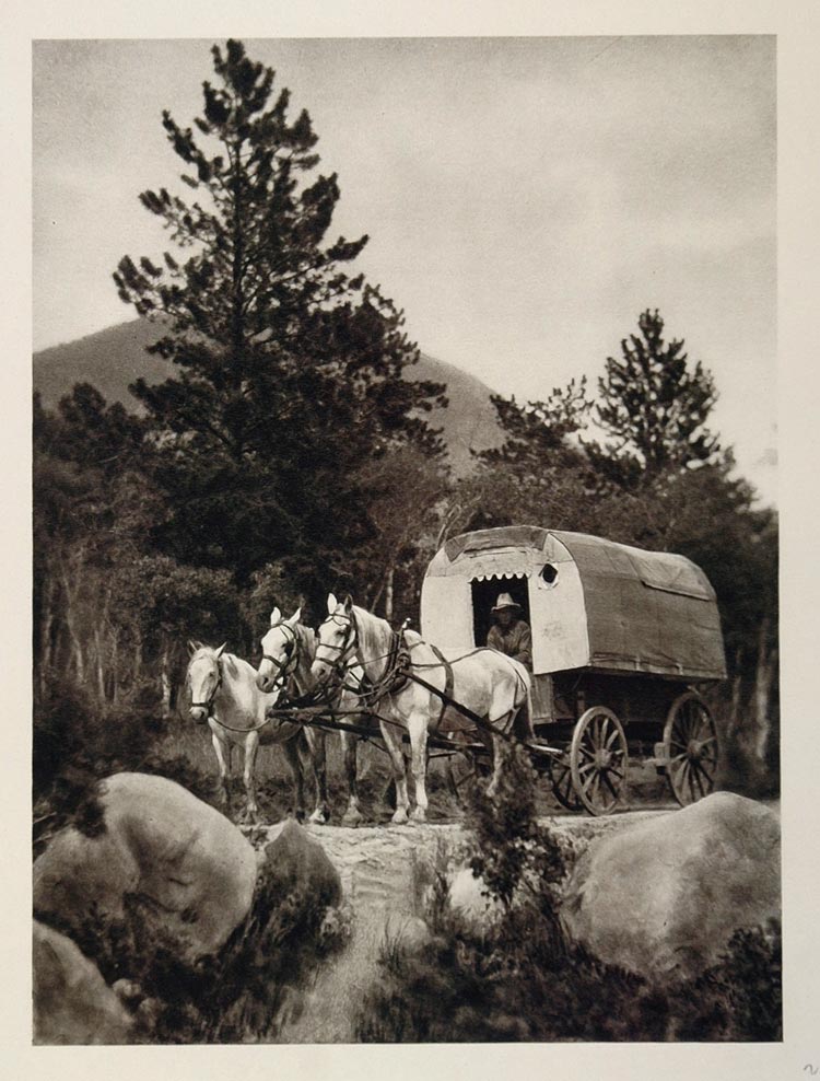 1927 Prairie Schooner Covered Wagon Horse Team Colorado - ORIGINAL US2