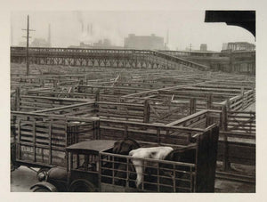 1927 Chicago Stockyards Stock Yards Cattle Pens Hoppe - ORIGINAL US2