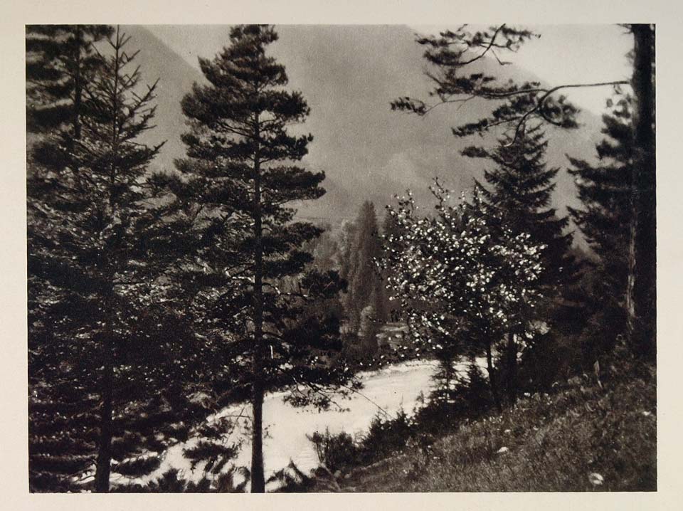 1927 Vermont Mountain Trout Stream Landscape Hoppe - ORIGINAL PHOTOGRAVURE US2