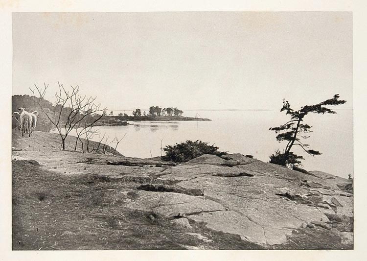 1900 Thousand Islands St. Lawrence River Photogravure - ORIGINAL US3