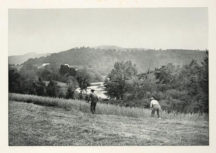 1900 Harvest Oat Field Pemigewasset Valley Photogravure - ORIGINAL US3