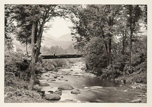 1900 Log Bridge Wildcat River Jackson New Hampshire - ORIGINAL PHOTOGRAVURE US3