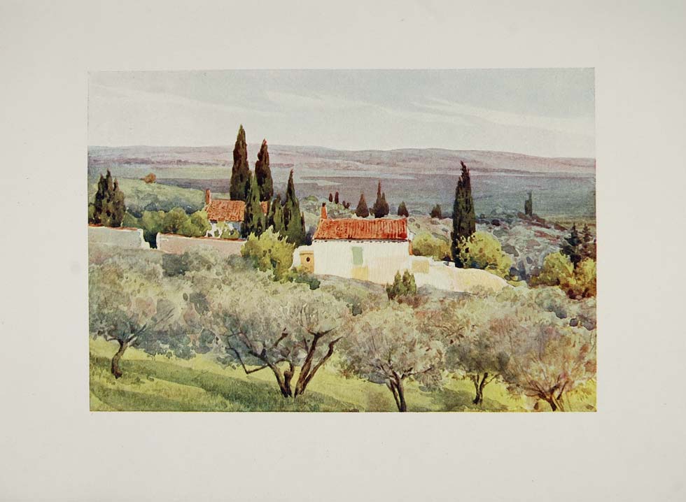 1905 Print Country Landscape Olive Grove Nimes France - ORIGINAL VN1