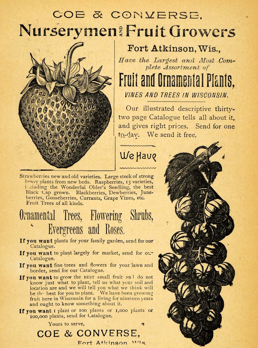 1893 Ad Coe & Converse Nursery Plants Fort Atkinson Wis - ORIGINAL WFI1
