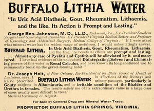 1905 Ad Buffalo Lithia Springs Healthy Water Dr. Holt - ORIGINAL ADVERTISING WW3