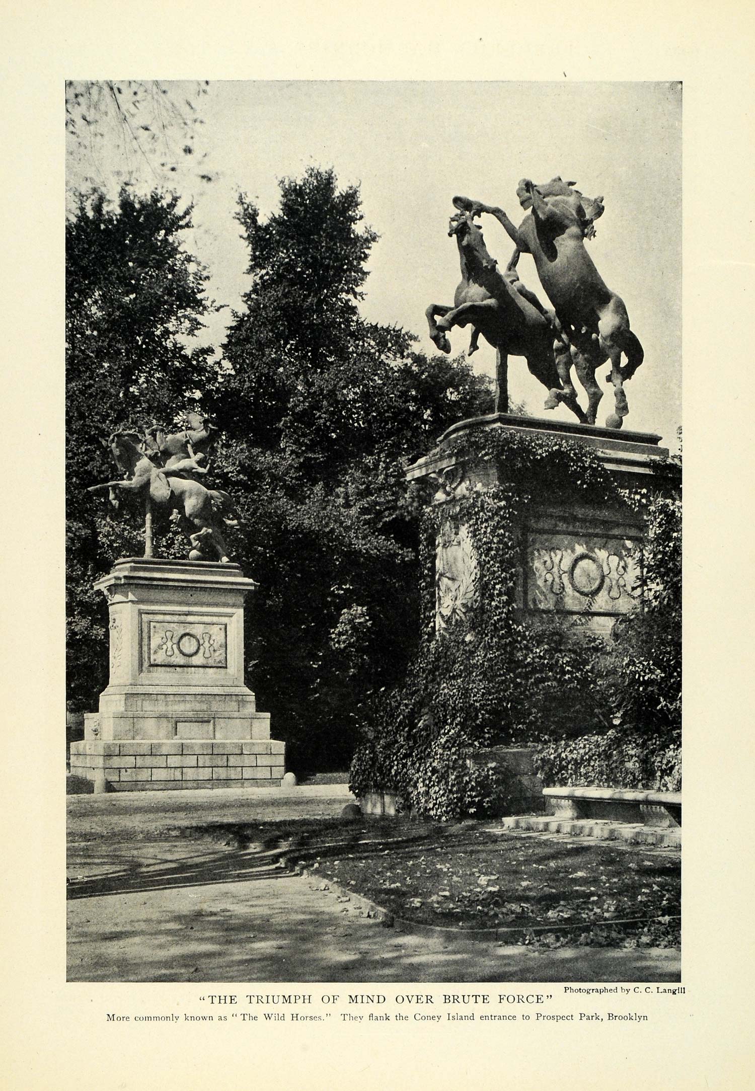 1905 Print Wild Horses Statue Frederick Macmonnies Coney Island Prospect WW3