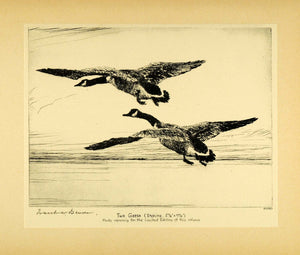 1931 Tipped-In Print Frank W. Benson Sketch Art Two Geese Flying Hunting Birds