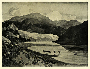 1919 Print Lake Landscape Cattle Cows Wading Lake Mountains John Sell XAC9