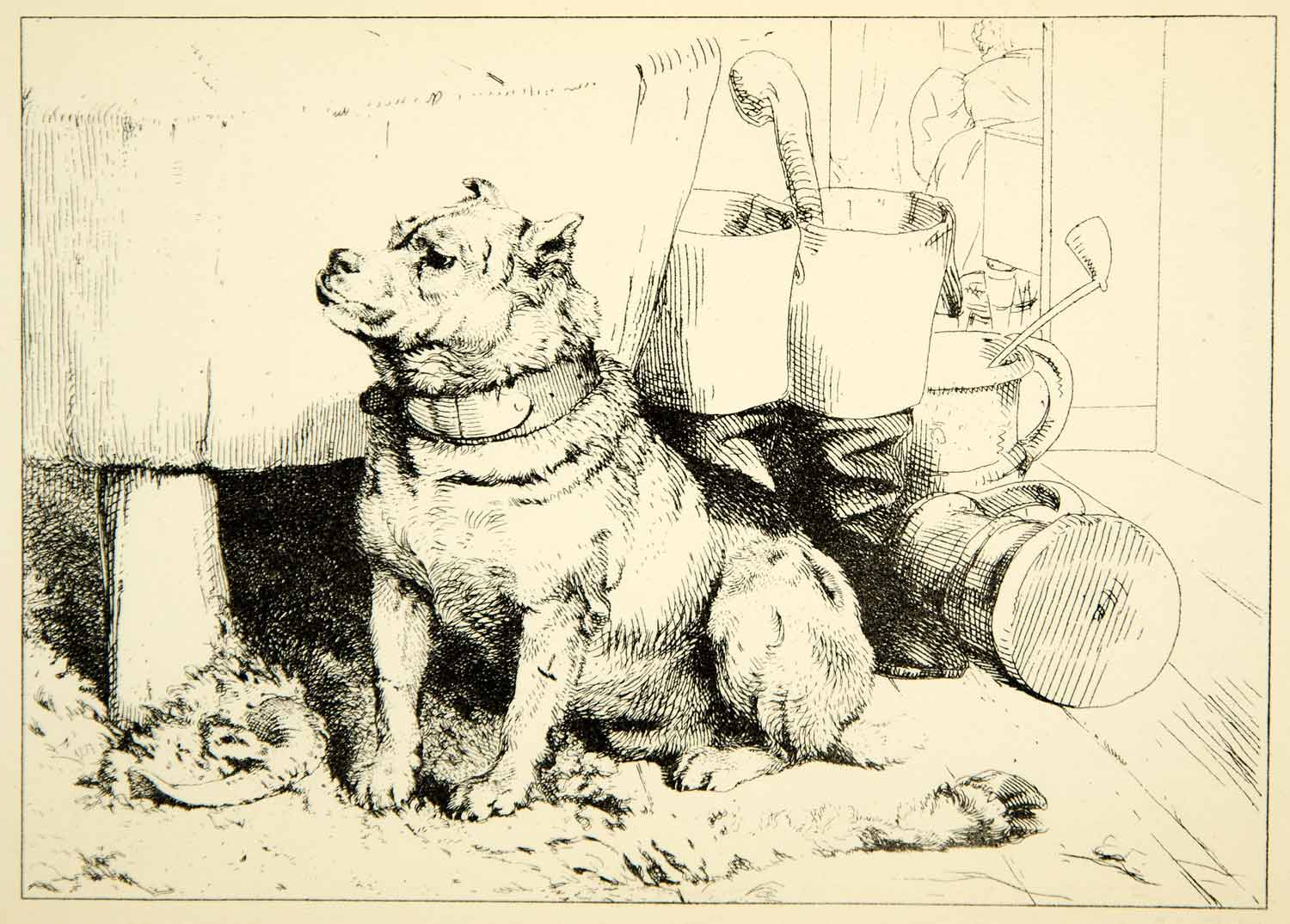 1883 Photolithograph Low Life Hoof Horn Dog Sir Edwin Landseer Pet Collar XACA6