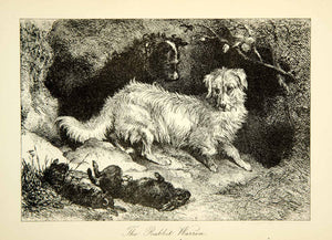 1883 Photolithograph Dogs Rabbit Warren Sir Edwin Landseer Kill Prey XACA6