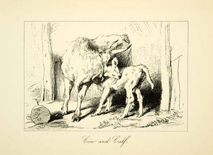 1883 Photolithograph Cow Calf Sir Edwin Landseer C G Lewis Licking Baby XACA6