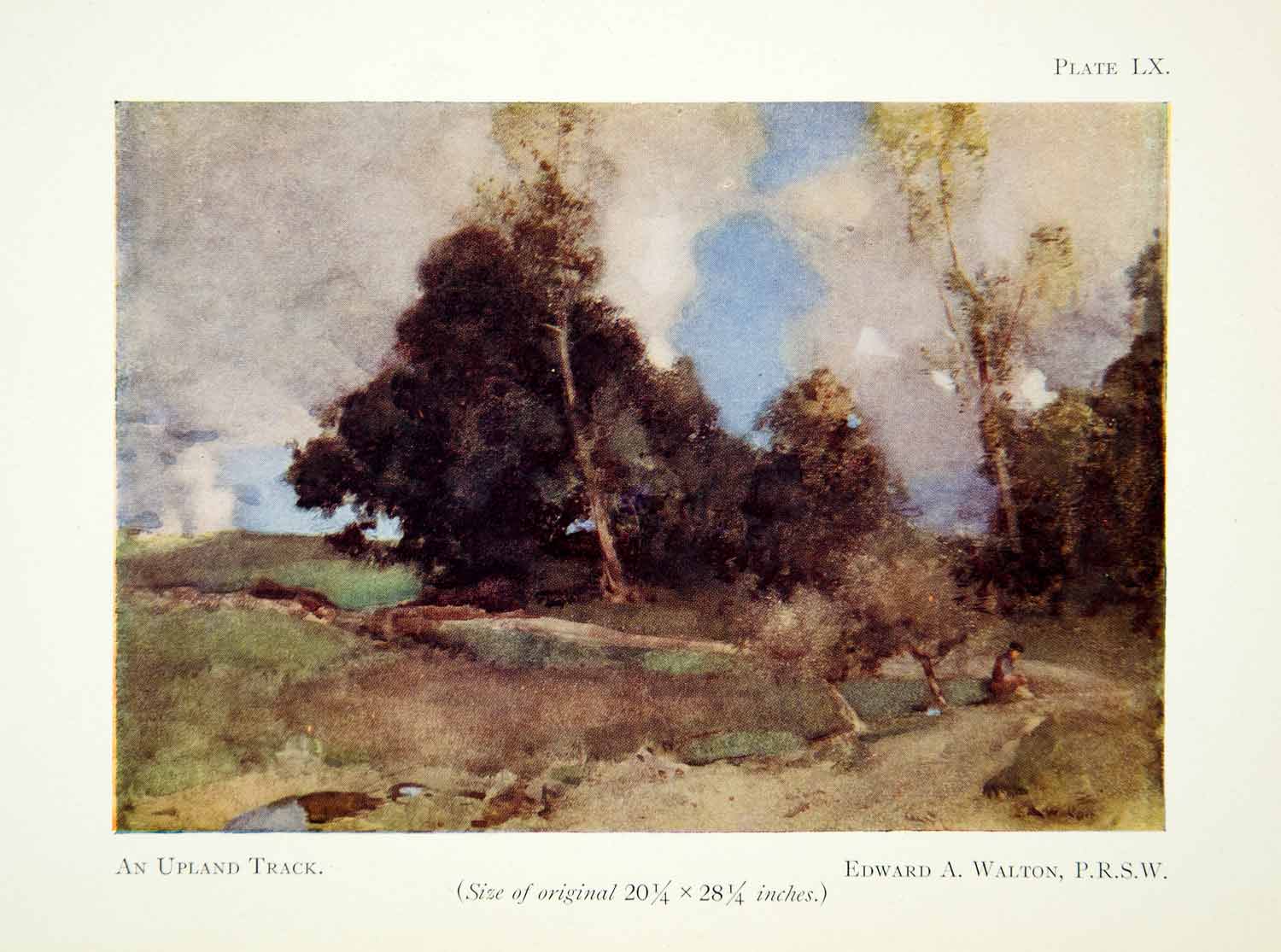 1929 Color Print Upland Track Edward Walton Nature Landscape Trees Scenery XADA5