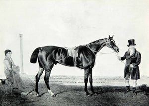 1954 Print Portrait Horse Mameluke Jockey Equestrian Costume Saddle Ben XAEA8