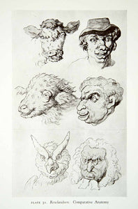 1946 Print Comparative Anatomy Cow Sheep Owl Man Portrait Thomas XAFA1
