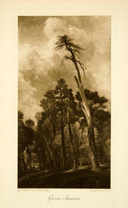 1912 Photogravure George Frederick Watts Green Summer Forest Allegorical XAFA5