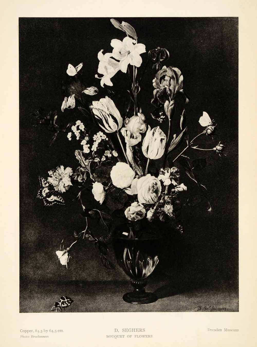 1939 Photogravure Daniel Seghers Still Life Bouquet Flowers Bug Beetle Vase XAG5