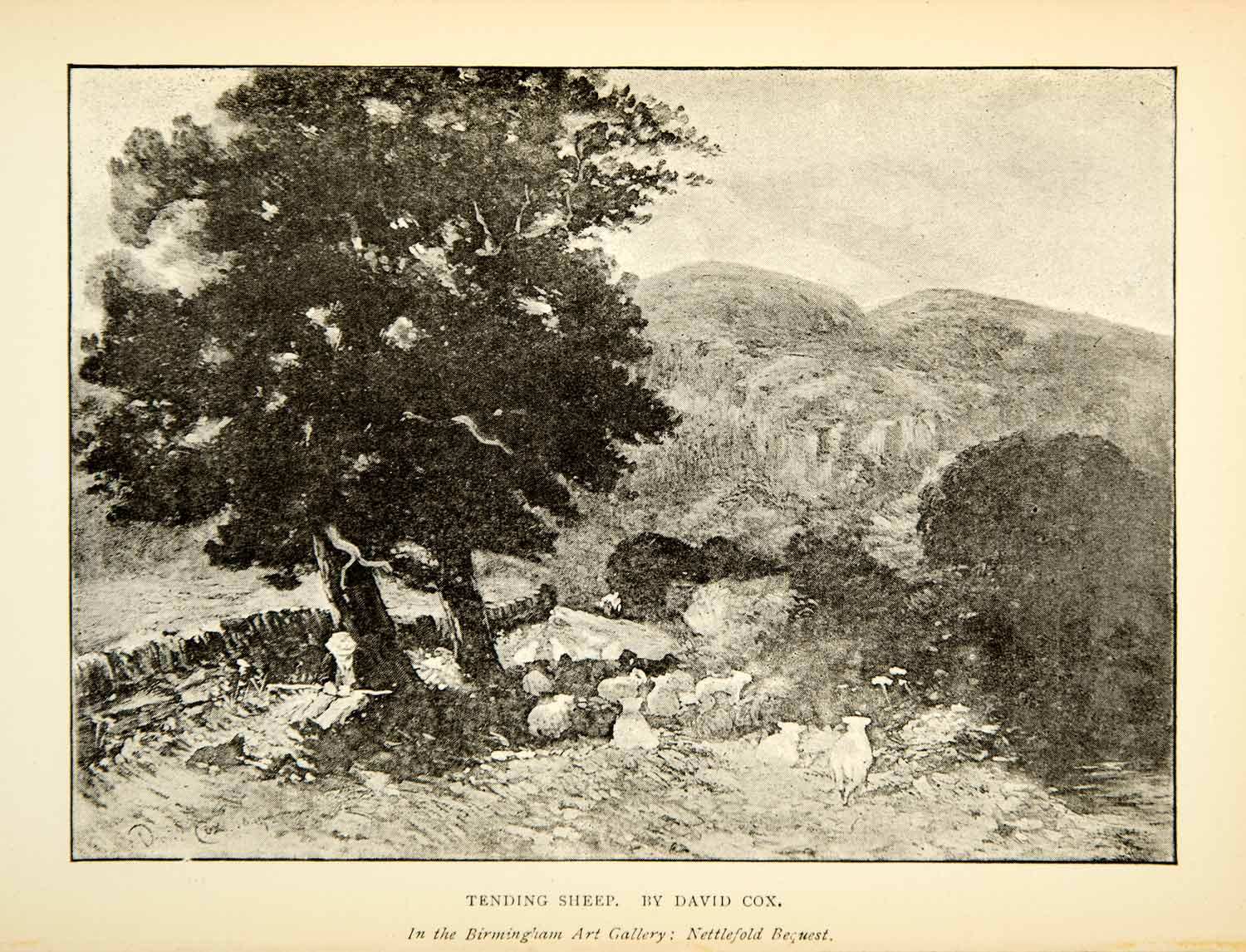 1891 Print Tending Sheep Herd Shade David Cox Landscape English Tree XAGA4