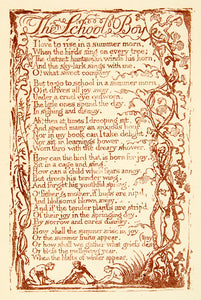 1863 Photolithograph William Blake School Boy Illustrated Poem Vines XAHA3