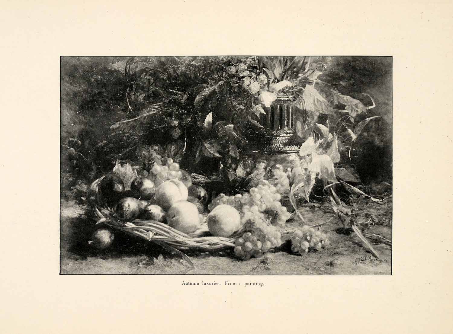 1898 Print Geraldine Jacoba Van De Sande Bakhuyzen Art Autumn Fruit Still XAI8