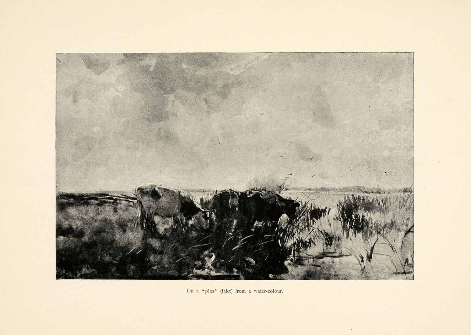 1899 Print Plas Lake Water Color William Maris Dutch Painting Scenery XAI9