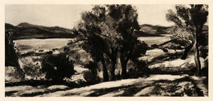 1939 Photogravure Andre Dunoyer Segonzac Landscape Provence Plein Air XAM1