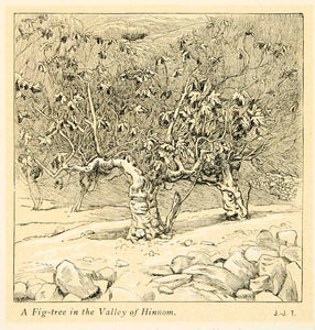 1899 Print James Tissot Art Fig Tree Valley Hinnom Gehenna Plant Israel XAMA2