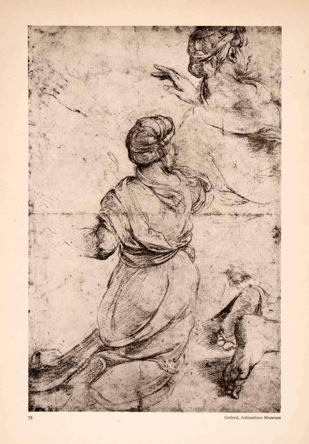 Ashmolean After Raphael Ashmolean Raphael Drawings
