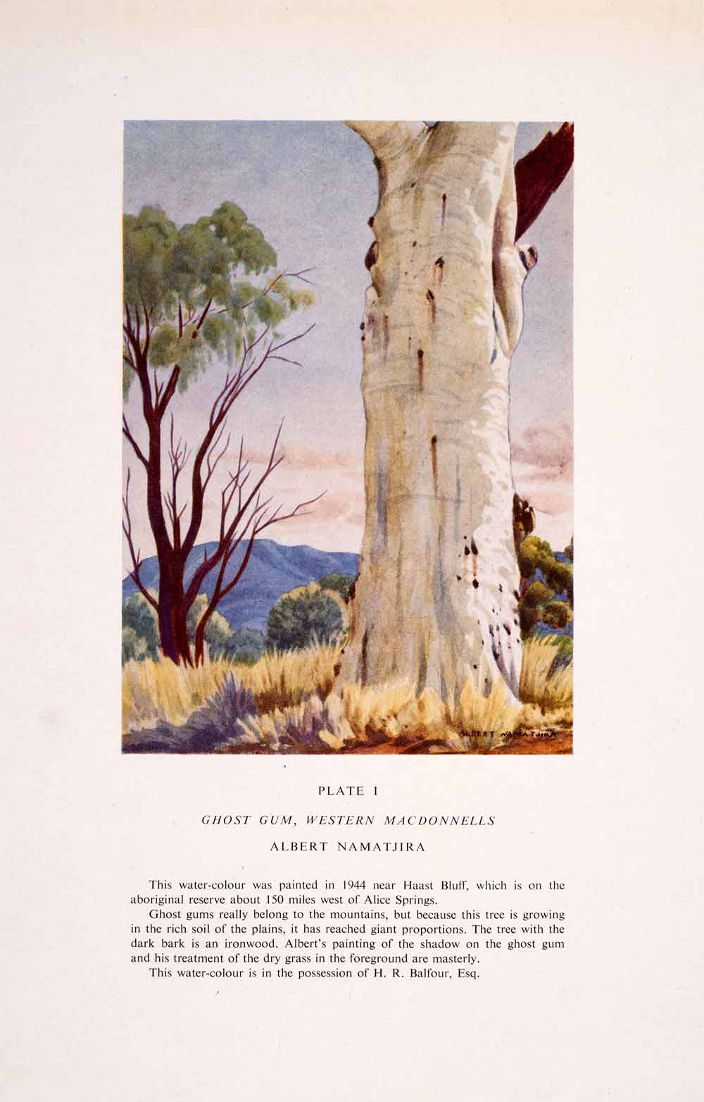 1952 Color Print Namatjira Art Ghost Gum Eucalyptus Tree Haast Bluff XAN5