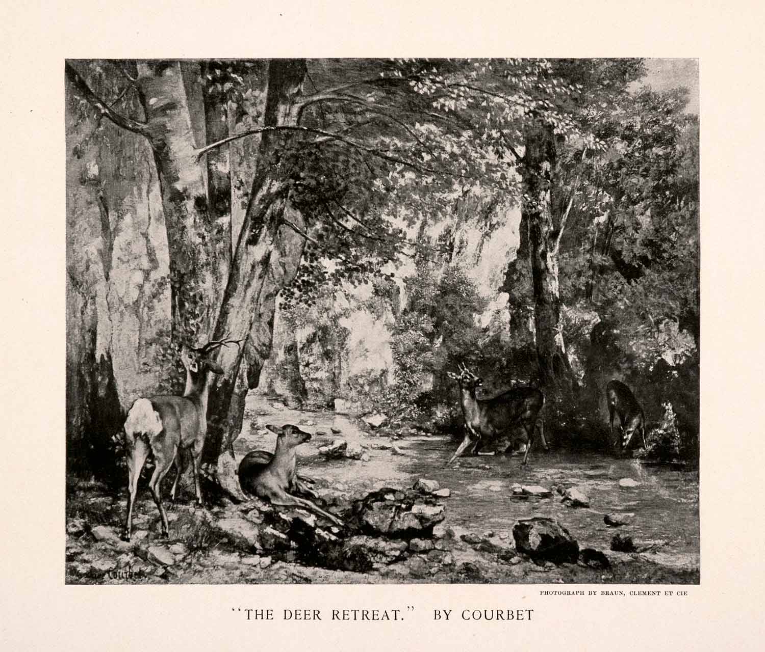 1896 Halftone Print Courbet Deer Retreat Buck Stream Woods Nature Art XAN9